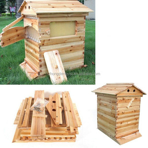 Juego Completo de 7 Piezas de Colmena de Abejas Automática con Flujo Continuo, Caja de Colmena de Abejas, Marco de Colmena de Abejas, Madera de Abeto Chino - Product Image 5
