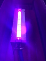 Mesin Cetak Label & Kartu Flexo Narrow Web Otomatis Berkualitas Tinggi dengan Sistem Pengeringan UV LED Ukuran Kustom Birduv