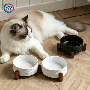 Ensemble de gamelles surélevées en céramique DRH avec support en bois d'acacia pour nourriture et eau pour chats et petits chiens - Product Image 2