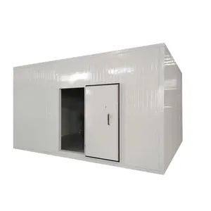 Fruit ripening chamber mobile cold room for sale