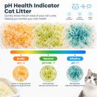 Sable de silice ODM OEM à indicateur de pH, litière pour chat à absorption élevée, non agglomérante, anti-odeur, en cristaux, pour les magasins d'animaux domestiques et la maison
