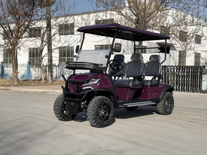 Carrito de Golf Eléctrico de 3-4 Plazas con Batería de Litio de 72V de Calidad Premium, Versión para Carretera, Suspensión Independiente, Asientos de Lujo, Nuevo - Product Image 2
