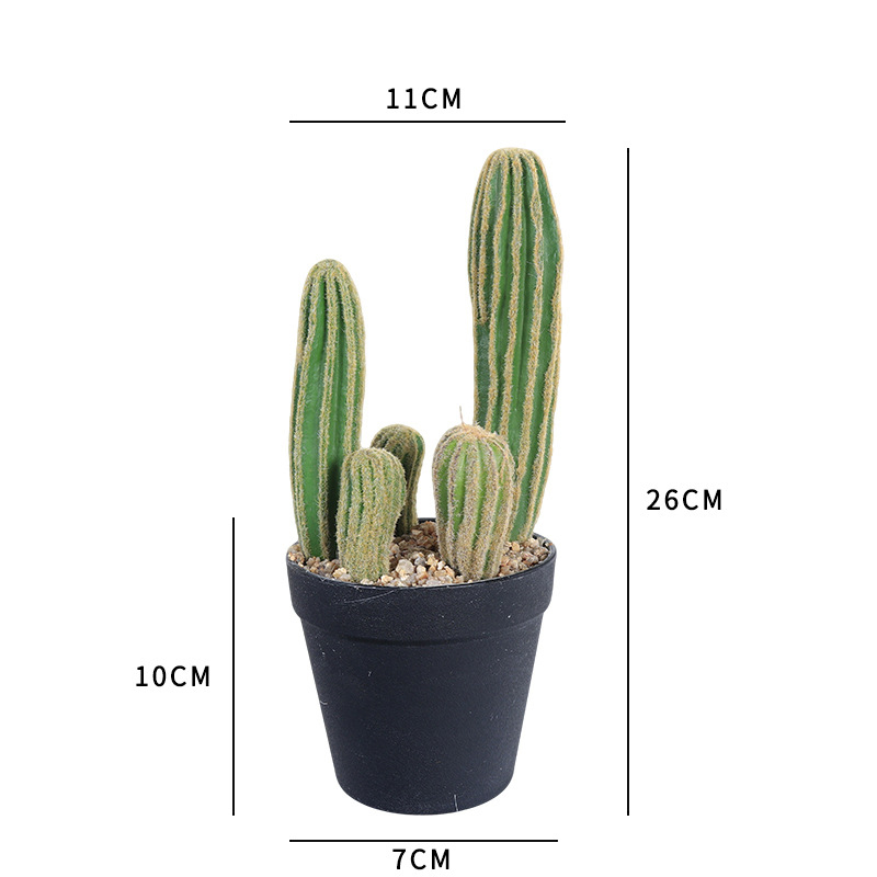 26cm