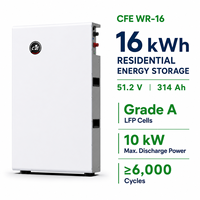 Système de stockage d'énergie domestique intelligent BMS 16 kWh LiFePO4 51,2 V 314 Ah, batterie compatible CAN Growatt/Goodwe/SMA