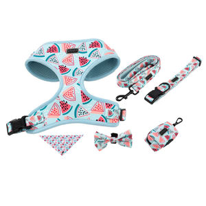 Personalizado OEM cachorro perro Correa Collar ajustable mascota caca bolsa Bandana accesorios diseñador personalizado lujo perro arnés conjunto - Product Image 2