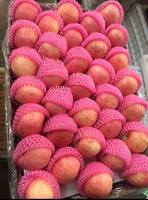 Nieuwe Oogst Van Chinese Verse Rode Fuji Appelfruit Verse Appels Koninklijke Gala En Rode Heerlijke Appels Verse Prijs Voor Groothandel