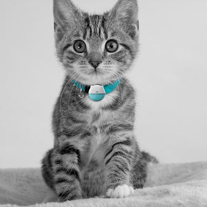 Kleine Huisdier <span class=keywords><strong>Tracker</strong></span> Kat <span class=keywords><strong>Gps</strong></span> Halsband Wereldwijde Real-Time Tracking App Control Waterdichte Ip67 - Product Image 1