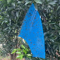 Trampa Adhesiva para Moscas de la Fruta de Doble Cara, 25x40cm, Resistente a los Rayos UV, Impermeable, para Control de Plagas en Huertos, Granjas e Invernaderos