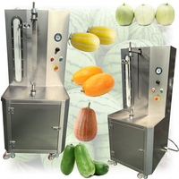 Automatische elektrische ananas- en groenteschilmachine