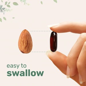 Fabbrica all'ingrosso Cross Border popolare pacchetto di 180 Soft Capsule di olio di semi di zucca e estratto di <span class=keywords><strong>Aloe</strong></span> <span class=keywords><strong>Vera</strong></span> offerta speciale - Product Image 2