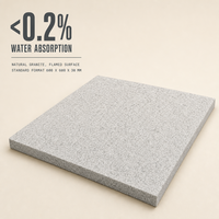 Dalles de pavage en granit blanc sésame G603 600x600x30mm pour aménagement paysager