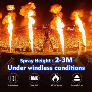 Machine à Effets Scéniques DMX Lance-Flammes et Projecteur Métallique 2-3m Hauteur de Jet 200W pour Utilisation Extérieure/Intérieure Scène Théâtre <span class=keywords><strong>DJ</strong></span> - Product Image 3