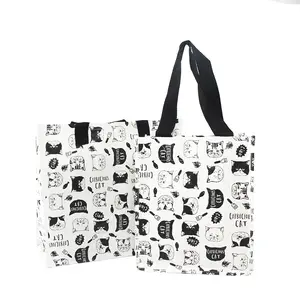 2024 Luxury Customized Portable Recycle Tote Pp Woven Shopping Bag With Handle