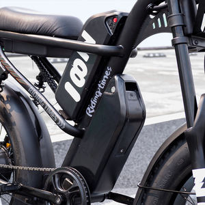 Vélo électrique tout-terrain Ridingtimes Z8PRO 20 pouces avec pneus larges, moteur 750W, batterie lithium 48V, vélo électrique de ville - Product Image 5