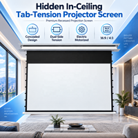 Écran de projection professionnel de grande taille, écran de cinéma motorisé à tension par languettes pour solutions de projection commerciales