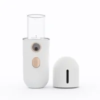À la mode USB Rechargeable Portable Pulvérisateur De Poche Mini Humidificateur Beauté Dispositif Système D'opération Ionique En Gros Dropshipping