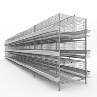 Nouvelle cage à poules de type H de style européen, système d'alimentation automatique et de collecte des œufs, acier galvanisé à chaud durable
