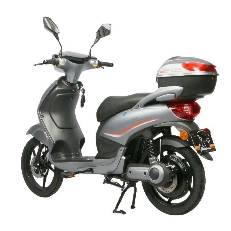 Electric Scooter With Pedal Assist EEC Certificated Electric Scooter 48V 800W 20Ah Lead-acid Battery Moped Electric City Bike