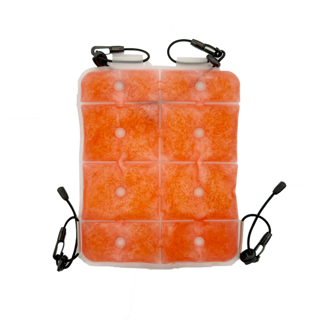 Trending Products 2024 New Arrivals Custom PCM Ice Pack Reusable Backpack Cooler Pad