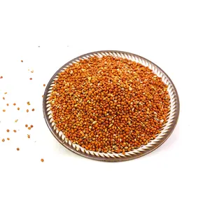Original china broomcorn moagem preço barato vermelho foxtail millet para pássaros alimentar