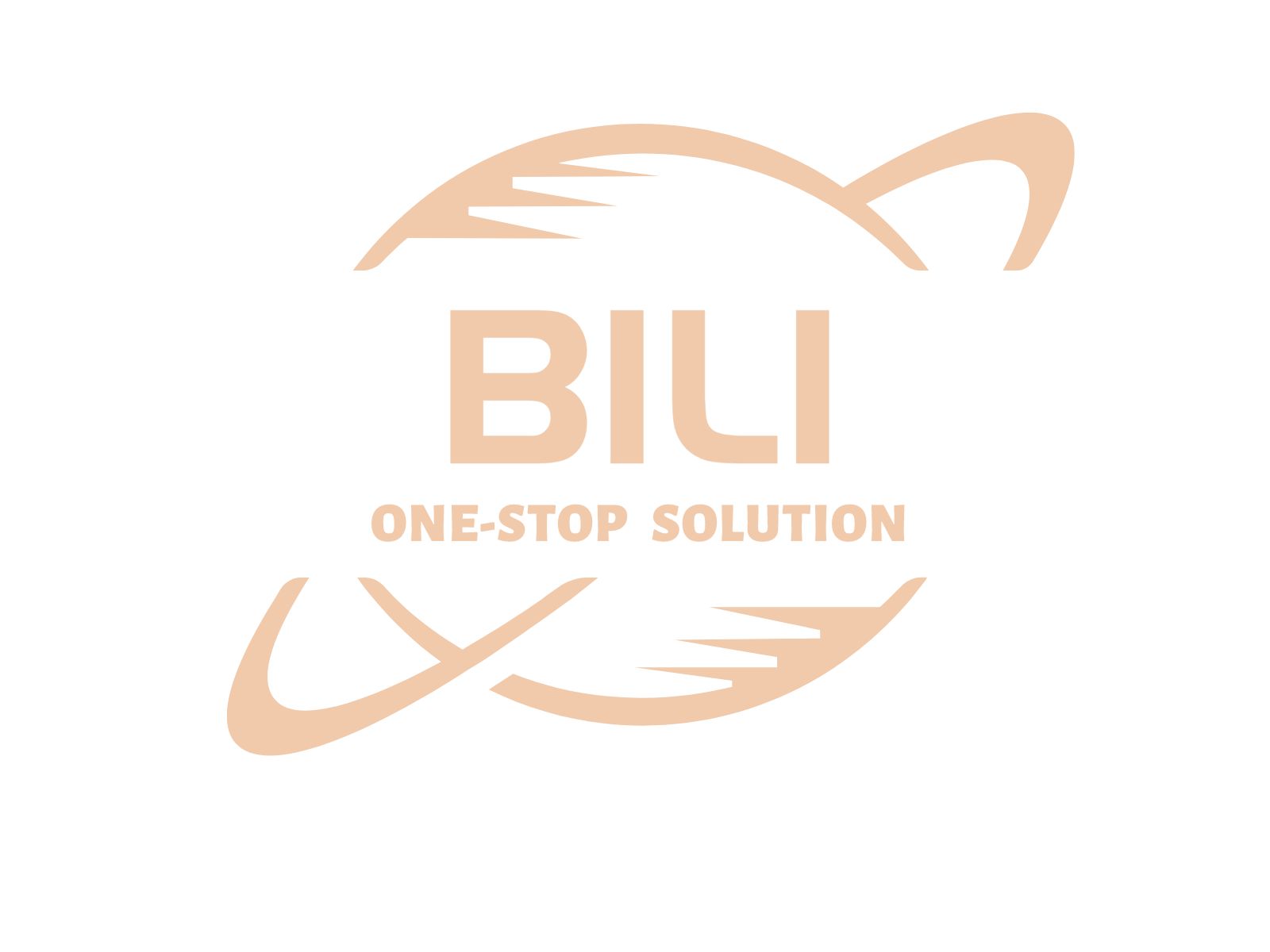 Ruian Bili Trading Co., Ltd. logo