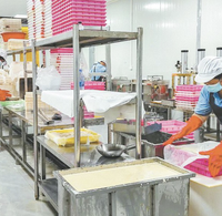 Écran de déshydratation en acier inoxydable de qualité alimentaire SS304 LUOKE Machinery pour la production de tofu à partir de soja