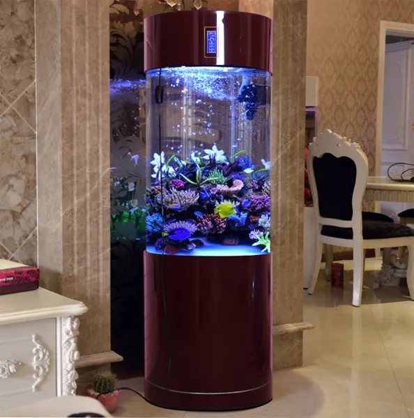 5 cylindres d'aquariums en acrylique, couleurs vin, rouge, prix d'usine