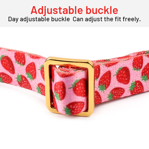 Collare di Lusso Personalizzato per Cani, con Chiusura di Sicurezza, Etichetta Privata, Design Stampato, Fibbia in Oro Rosa, Regolabile, per Cani di Piccola Taglia come Teddy Bear - Product Image 5