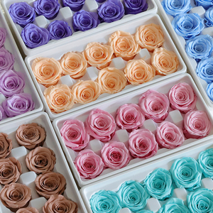 Roses Éternelles de Haute Qualité, 10 Pièces, 4 cm, Grade A, Fleurs Naturelles Réelles, Têtes de Roses pour Décoration de Mariage, Saint-Valentin - Product Image 2