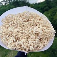 500g Bunga Kering Alami Gypsophila Preserved Babys Breath Grosir Buket Satu Paket Kustom untuk Dekorasi Karangan Bunga Kantor dan Pesta