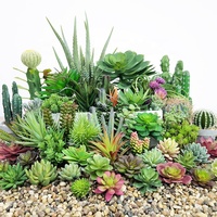 Succulentes en gros décoratif mini cactus assortiment extérieur intérieur suspendu arrangement plantes artificielles succulentes à vendre