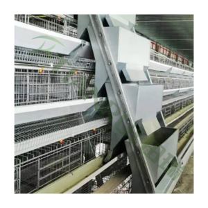 Filipinler katmanlı tavuk kafesleri kuş için 5000 ürün planları galvaniz - Product Image 3