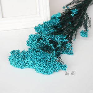 C225 Venta caliente boda decorativa Rosa Blanco Bouquet fresco Natural <span class=keywords><strong>de</strong></span> arroz seco <span class=keywords><strong>flores</strong></span> - Product Image 3