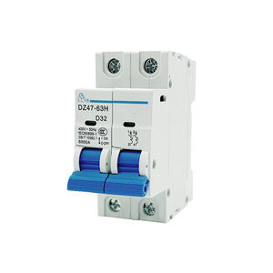 DZ47-63H 2P 소형 회로 차단기 정격 전류 플라스틱 및 구리 딘 레일 장착 보호 - Product Image 1