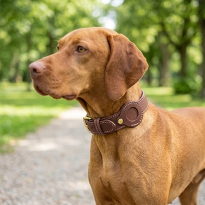 Collar de Cuero de Lujo <span class=keywords><strong>para</strong></span> <span class=keywords><strong>Perros</strong></span> con Rastreador GPS, Acolchado Suave, Soporte <span class=keywords><strong>para</strong></span> Etiqueta Inteligente, Ajustable, 7 Colores <span class=keywords><strong>para</strong></span> <span class=keywords><strong>Perros</strong></span> Pequeños y Grandes - Product Image 1
