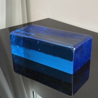 Briques en verre cristal de couleur unie 230*110*76mm |   Blocs de verre coulés à chaud durables pour les cloisons de cuisine et de salle de bain