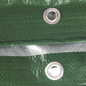 Bâche transparente verte robuste en PE enduit, <span class=keywords><strong>tissu</strong></span> imperméable en polyéthylène pour serre et couverture de jardin extérieur - Product Image 3