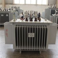 Transformateur extérieur anti-corrosion 630 kVA~2500 kVA refroidi à l'huile, noyau CRGO S13, norme IEC, conception personnalisée pour centrale électrique