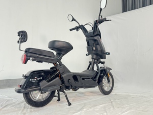 Nouvelle <span class=keywords><strong>moto</strong></span> électrique EEC 800w 48V 60v 20AH deux roues avec 2 places vélo électrique adulte 25kmh homologation en Europe - Product Image 2