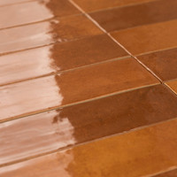 Teja de Barro Rio 6x25 cm, 8 mm de Grosor, Acabado Brillante, Bordes Irregulares
