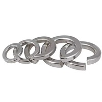 Round M6 M8 M10 Zinc Plated DIN 127 Flat Carbon Steel Stainless Steel 304 316 Retaining Ring Spring Lock Washer Gasket for Bolt