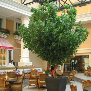 Fabricación de China de plástico de interior Ficus árbol Artificial Banyan árbol para <span class=keywords><strong>el</strong></span> aeropuerto - Product Image 3