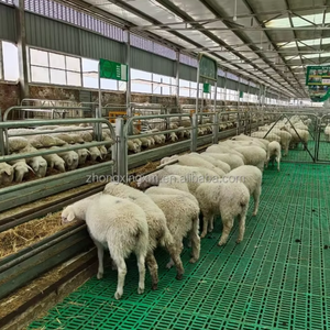 Nuevo Equipo de Piso de Listones de Plástico para Ganadería para la Cría de Cabras, Ovejas y Cerdos - Product Image 6