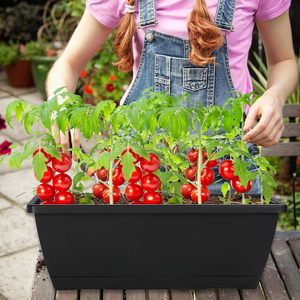 Pot de fleurs rectangulaire en plastique PP écologique au design moderne avec trous de drainage (capacité 1-3L) pour utilisation sur le bureau (gris) A-ONE - Product Image 6