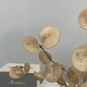 Vente en gros <span class=keywords><strong>d</strong></span>'usine, branches de feuilles <span class=keywords><strong>d</strong></span>'<span class=keywords><strong>eucalyptus</strong></span> artificielles en PE pour la <span class=keywords><strong>d</strong></span>écoration de la maison, les mariages, les événements, les arrangements floraux - Product Image 4