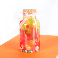 Puzzle entièrement personnalisé Créez votre propre kit de terrarium lumineux personnalisé à faire soi-même pour enfants