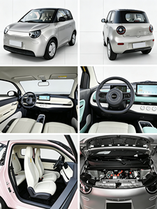 Voiture électrique <span class=keywords><strong>mini</strong></span> EV 2026 avec 4 airbags, ABS+EBD+EPB, batterie LFP, charge rapide en 2 heures, longue autonomie de 220 km, voiture de ville, stationnement facile - Product Image 3
