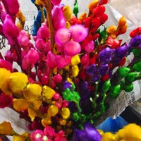 Silberne Weide trocknende Blume wahre Blume frische Äste hydroponische Pflanze rot Silberne Weide Neujahrsnacht Wohnzimmer-Dekoration