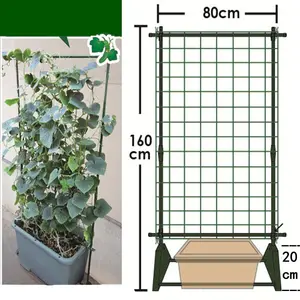 装飾的な庭の金属プラスチックの無駄のない窓の壁の植物トレリスとネットガーデントレリス登山植物