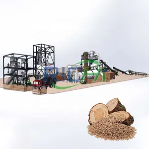 Export Malaysia 2-3 T/H Palm EFB Wood Pellet Plant For Sale